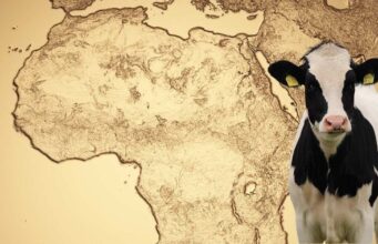 Afrika spúšťa novú éru v živočíšnom šľachtení: AABNet ako cesta k udržateľnému chovu