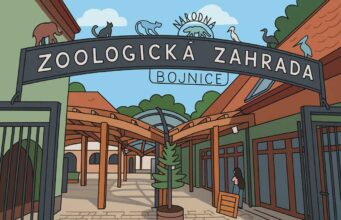 Prírastky v bojnickej zoo: Nový život pandy červenej i rysa karpatského