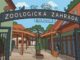 Prírastky v bojnickej zoo: Nový život pandy červenej i rysa karpatského