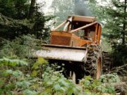 Ako rozumné terénne úpravy pozitívne vplývajú na lesy a ekosystémy?