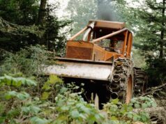 Ako rozumné terénne úpravy pozitívne vplývajú na lesy a ekosystémy?