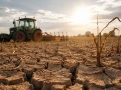 Sucho trápi slovenských farmárov. Hovorí sa o škodách za 100-ky miliónov eur sucho trapi farmarov